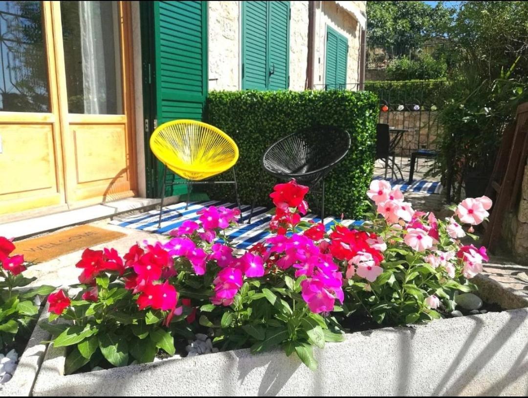 Apartments Tellaro Holiday home